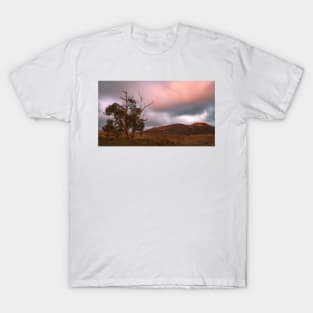 Australian Dawn T-Shirt